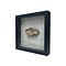 Lithodidae Krab in a black wooden frame