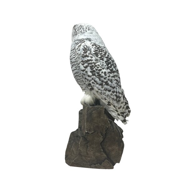 Mounted Snowy Owl