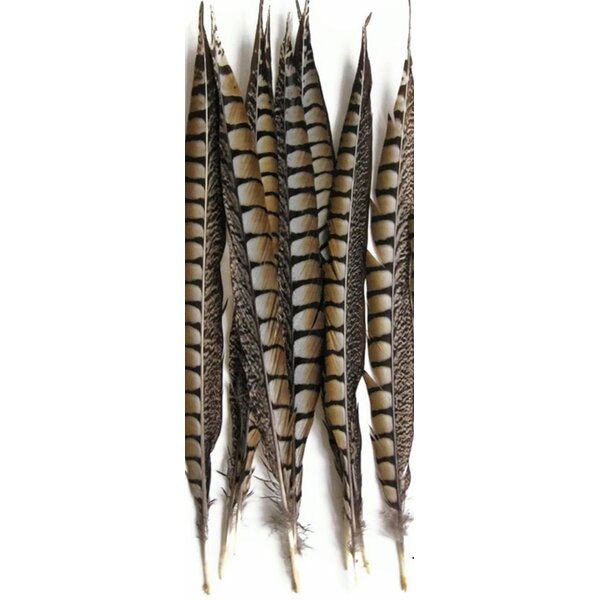 Lady amherst fazant veren (per 5 stuks) 50-60 cm