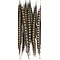 Lady amherst fazant veren (per 5 stuks) 50-60 cm