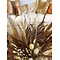 Lady amherst Pheasant feathers (5 pcs) 50-60 cm