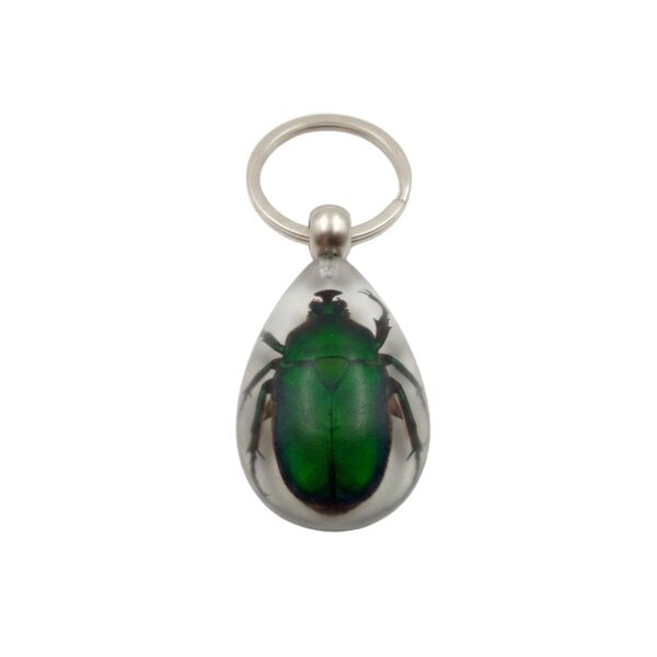 Keychain beetle in resin