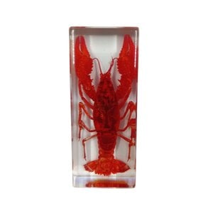Red Crawfish in resin