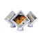 Glazen display met insect in Amber