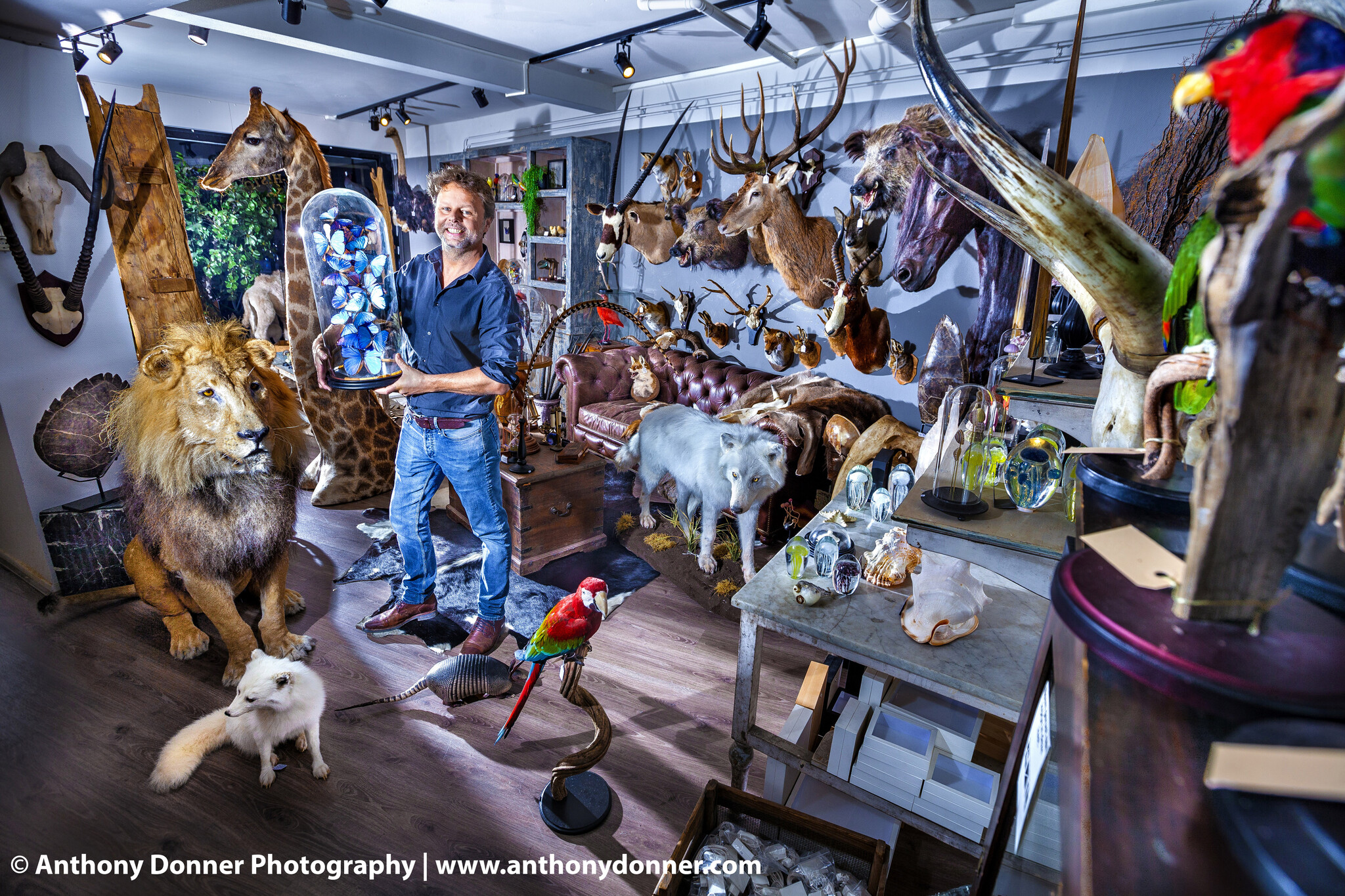 opgezette-dieren-museumwinkel