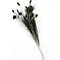 Peacock feathers (per 10 ) 100 - 110 cm