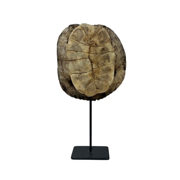 Schildpad schild op sokkel