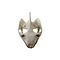 African spurred tortoise skull