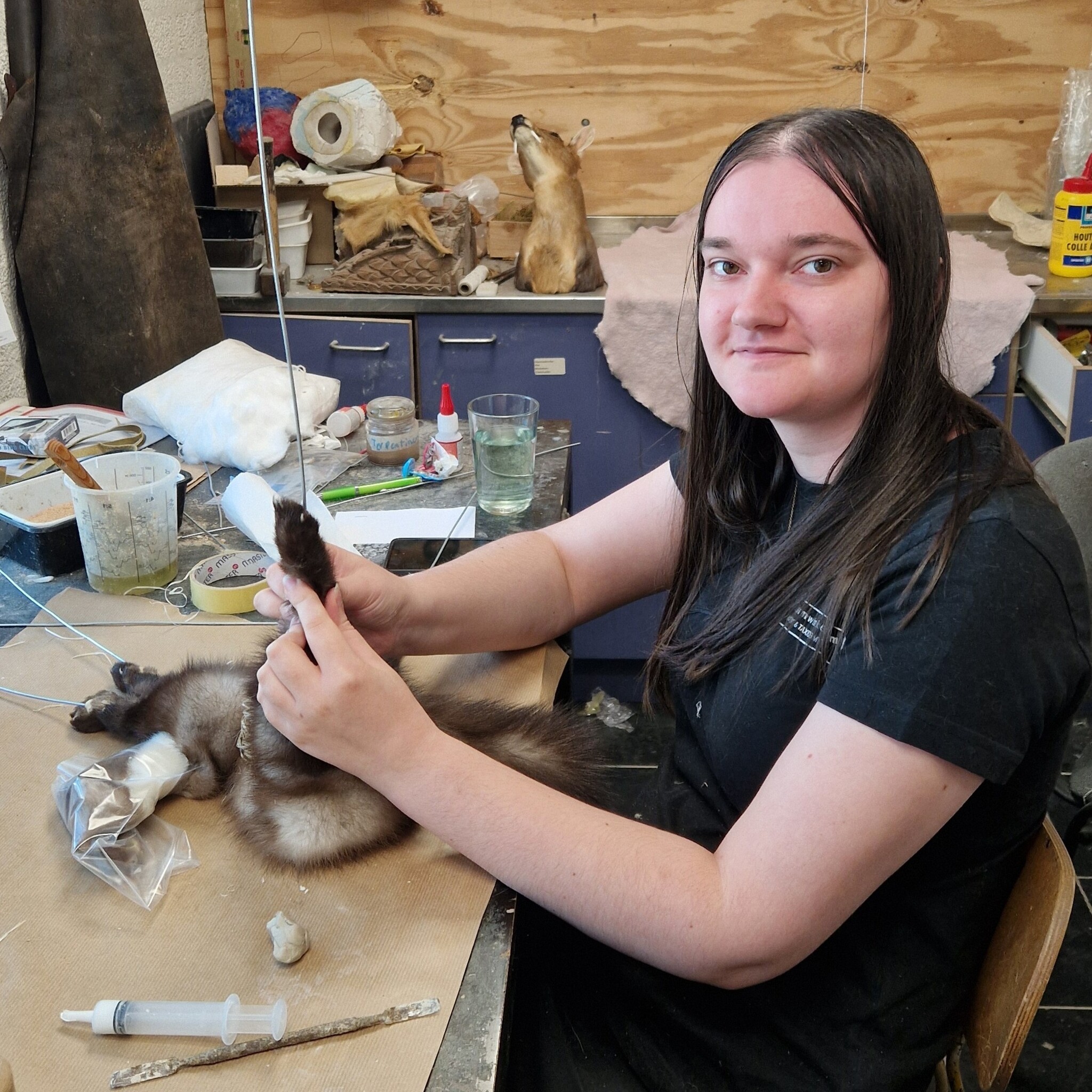 Ilvy - taxidermist en preparateur