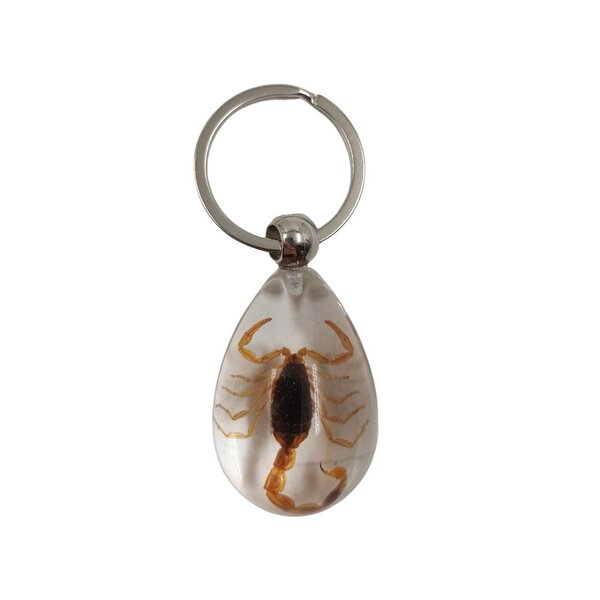 Keychain scorpion in resin