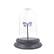 Glocke mit Jamides Euchylas (1)