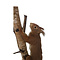 Mounted red squirrel on wood