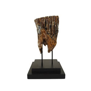 Fossiele mammoetkies op standaard (XL)