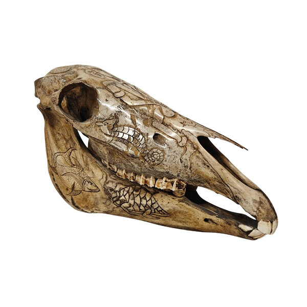 Schedel Paard met tribal motieven