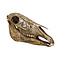 Skull Horse with tribal motives
