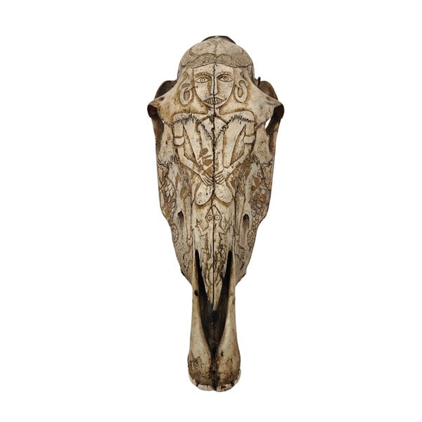 Schädel Pferd mit motiven