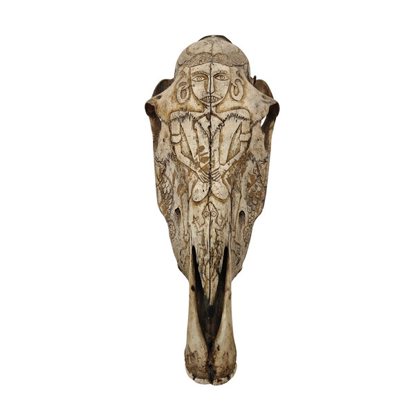 Schedel Paard met tribal motieven