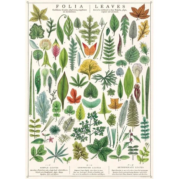 School poster - Leaves