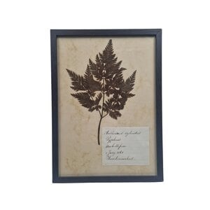 Antieke Botanische lijst (G)