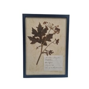 Antieke Botanische lijst (J)