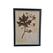 Antique Botanical frame (J)