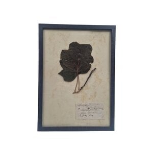Antieke Botanische lijst (K)
