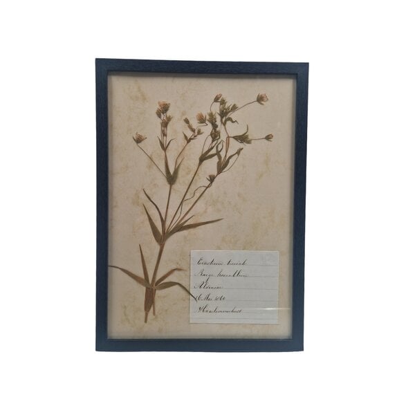 Antiker botanischer Rahmen (I)