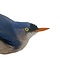 Mounted Velvet-fronted nuthatch