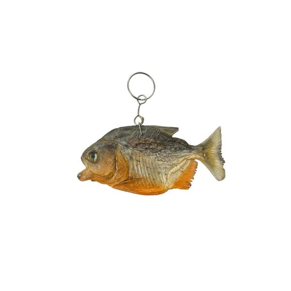 Opgezette Piranha sleutelhanger