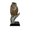 Mounted eagle owl - Owl Taxidermy