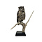 Mounted Spotted eagle owl