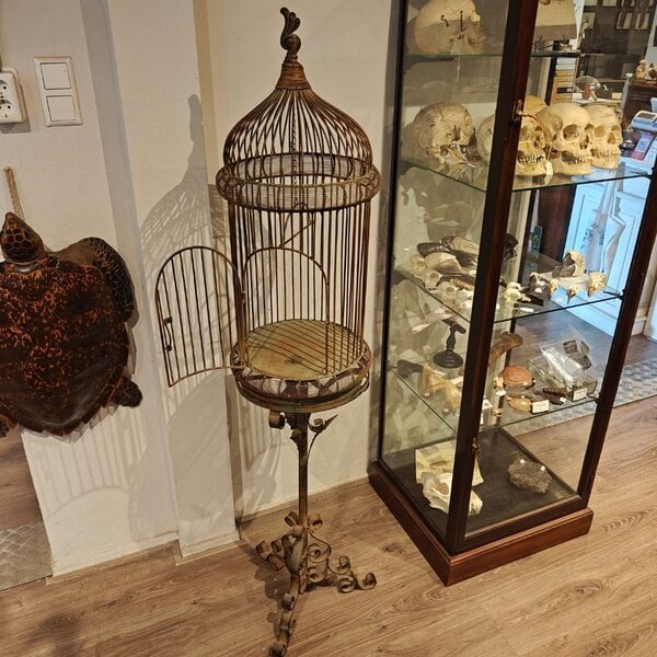 Antique bird cage on stand