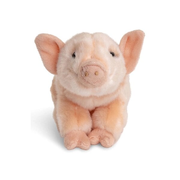 Biggetje knuffel