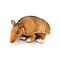 Armadillo knuscheltier
