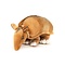 Armadillo knuscheltier