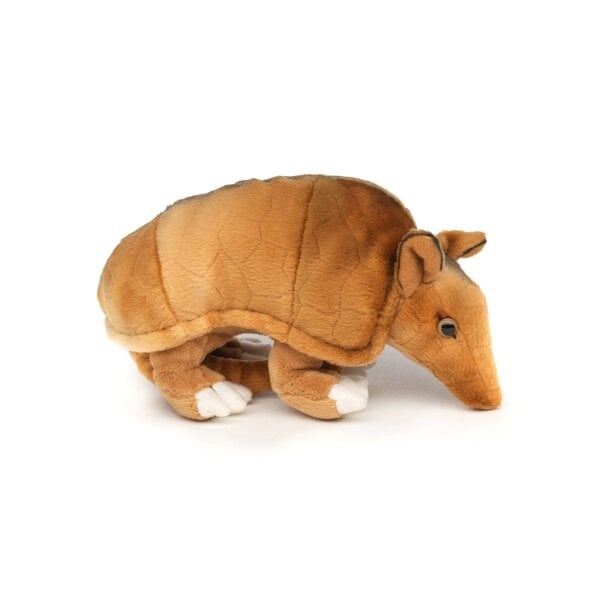 Armadillo knuscheltier