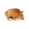 Armadillo knuscheltier