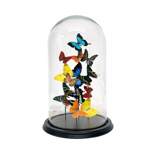 Stolp met tropische vlinders (L)
