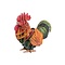 3D Paper Puzzle with Sound – Rooster
