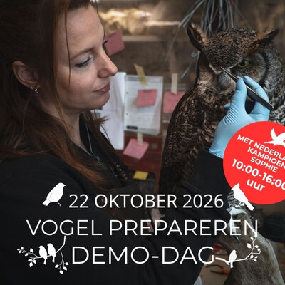 22 October: Demonstration day hosted by our taxidermist Sophie Kiela