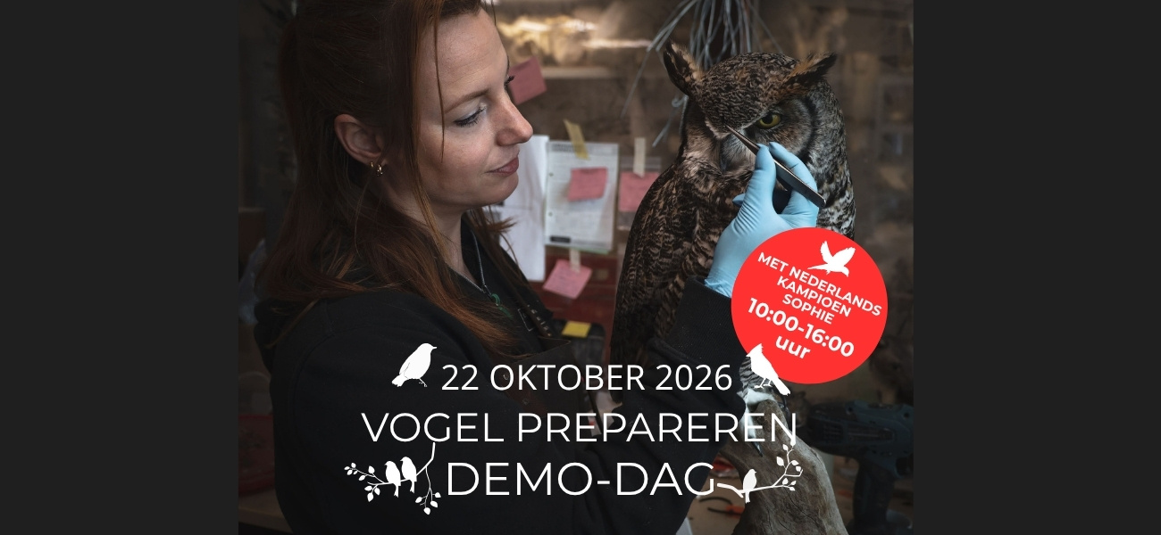 22. Oktober: Vorführungstag mit unserer Präparatorin Sophie Kiela