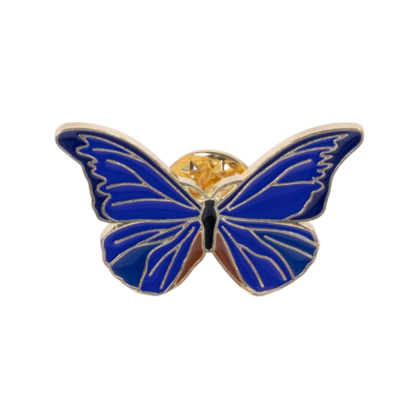 Anstecknadel Kolibri Schmetterling