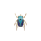 Pin Beetle