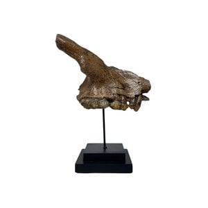 Fossiler Teil eines Höhlenbärenkiefers auf Sockel (A)