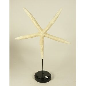 Seastar white on stand