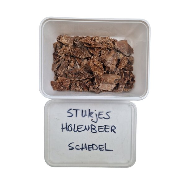 Fossiel stukken van een Holenbeer (E)