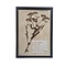 Antique Botanical frame (I)