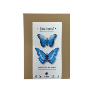 DIY kit - morpho butterflies