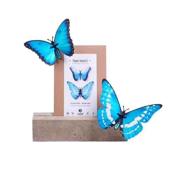 DIY kit - morpho butterflies