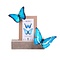 DIY kit - morpho vlinders